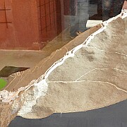 2012-06-10_00 - Fenestrelle